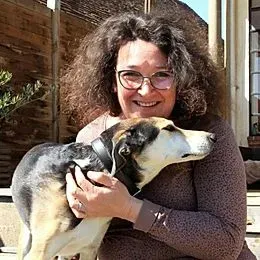 logique de chien